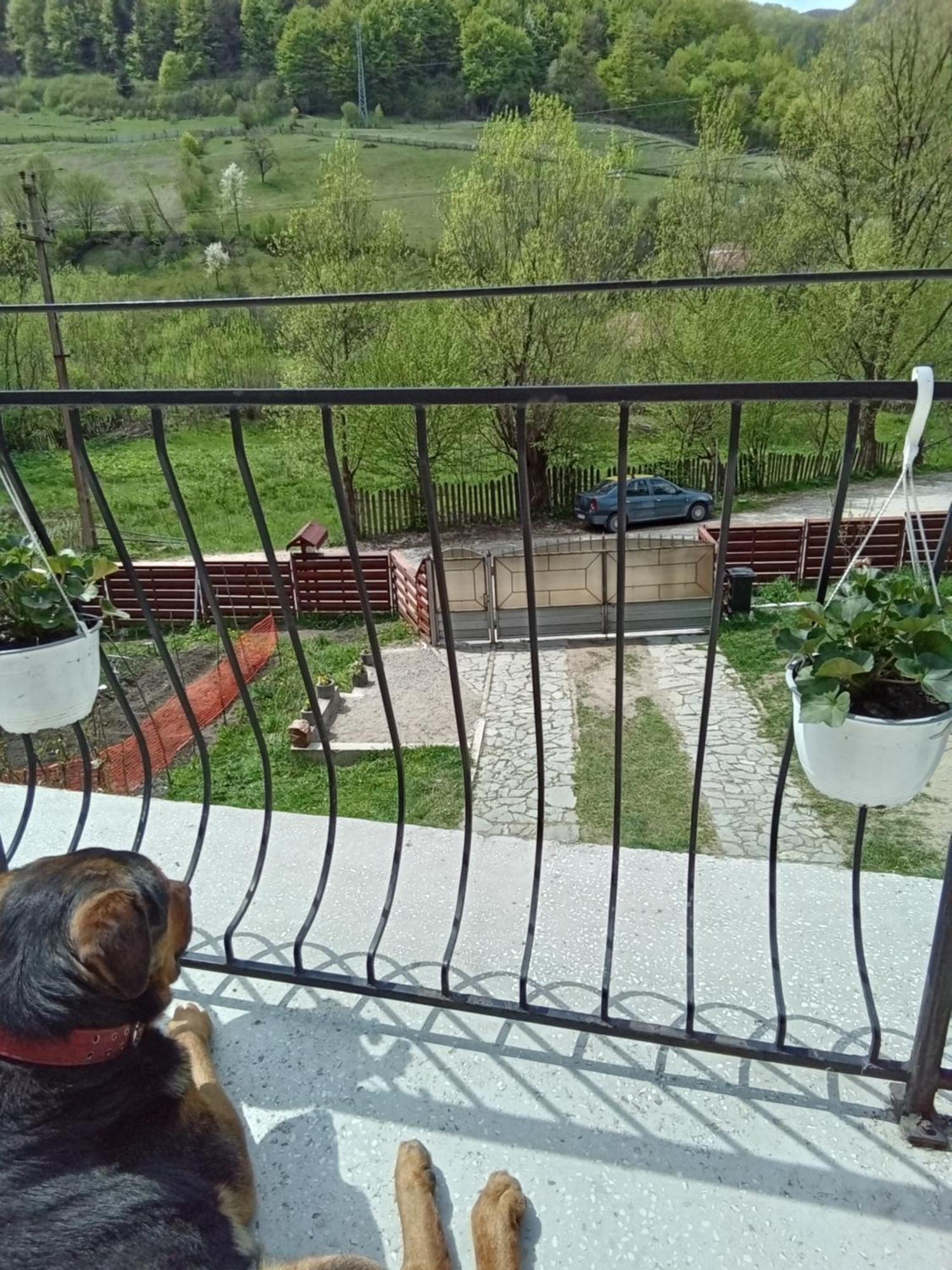 Готель Casa Ozon Vulcan  Екстер'єр фото